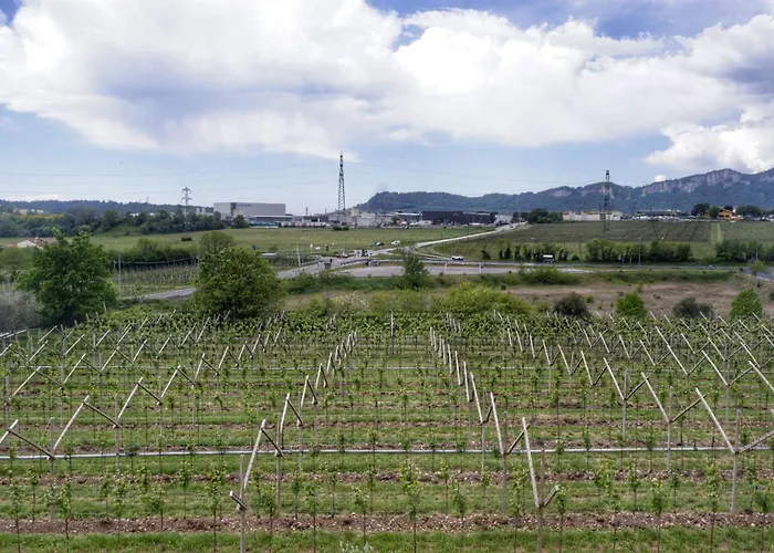 公寓 L'edera