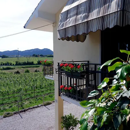 L'edera * 리볼리 베로네세